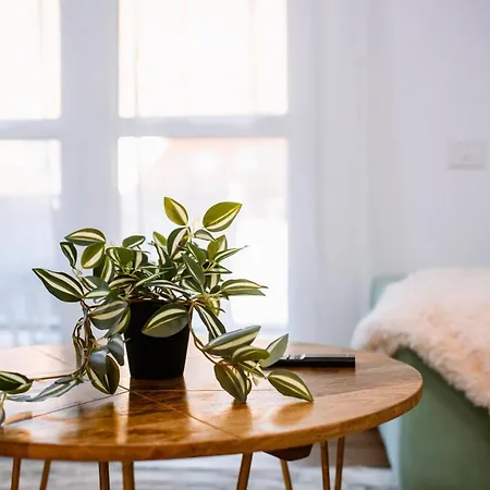 Mountain View With Terrace Apartment *