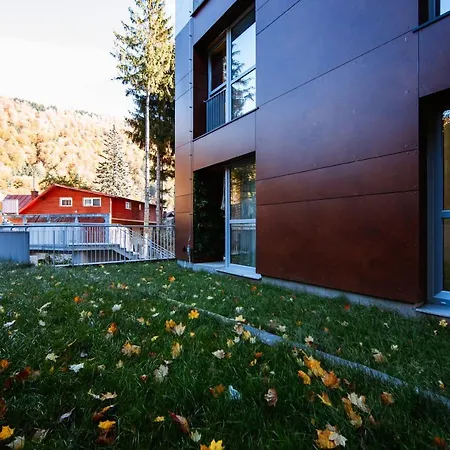 Mountain View With Terrace Apartment *