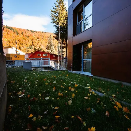 Mountain View With Terrace Apartment Sinaia